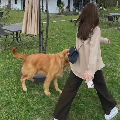 洛杉矶劫案